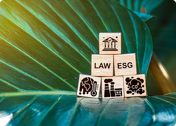 Integrating ESG into Corporate Governance