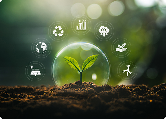 Key Differences Between ESG and CSR