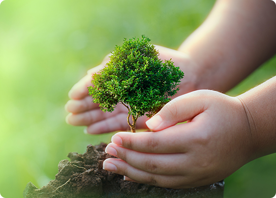 Why Both Are Important for Business Leaders