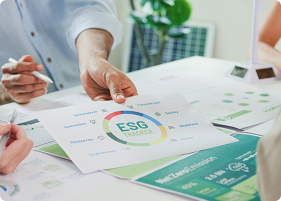 Why Businesses Need ESG Strategies