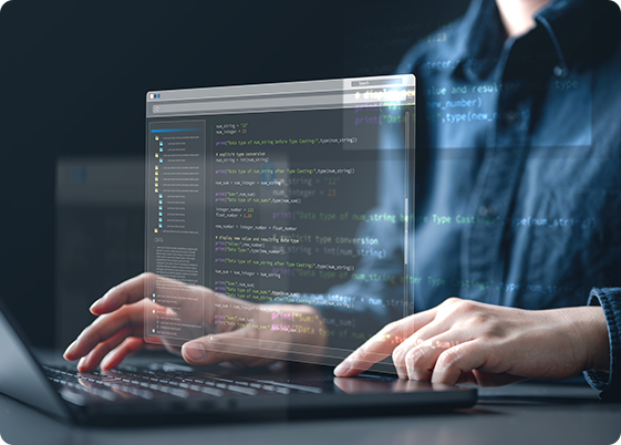 IT Director / Software Architect