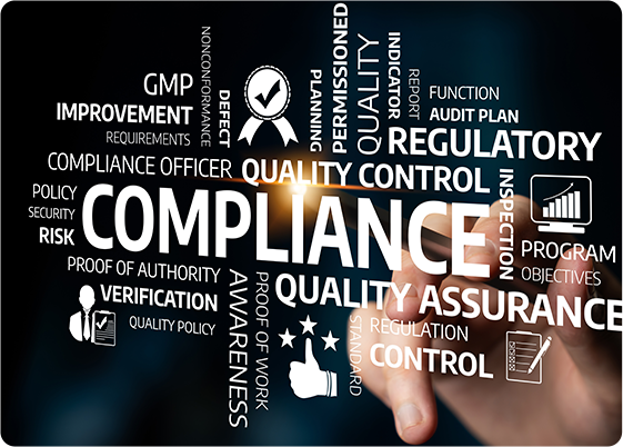 Step 8: Focus on Data Quality, Security, and Governance