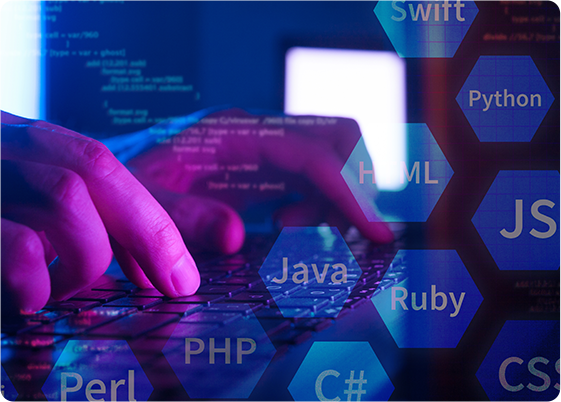 Learn Programming Languages