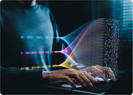 Data Input and Processing