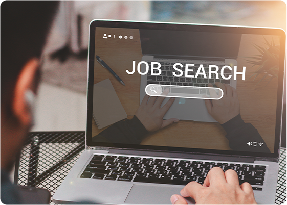 What are Job Search Strategies?