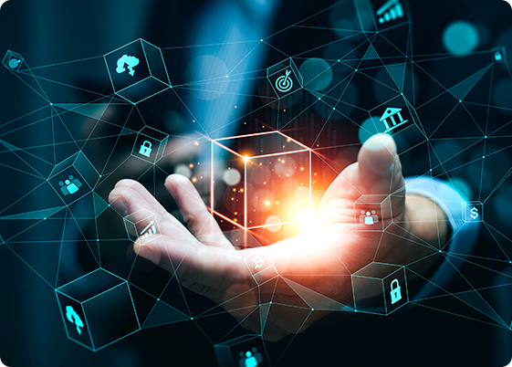 Blockchain Developer