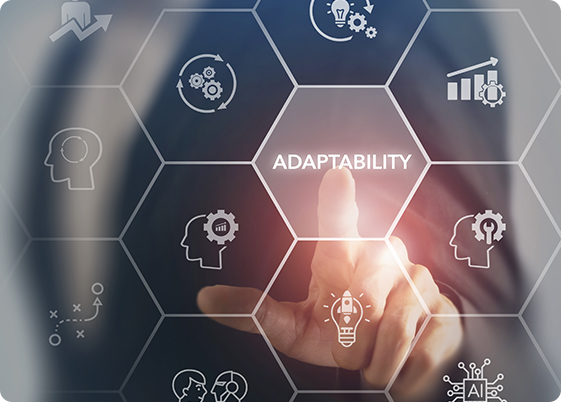 Adaptability