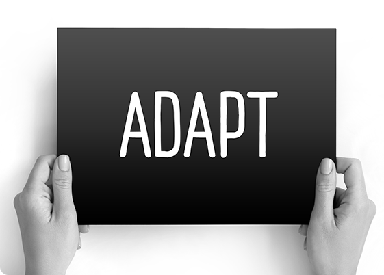 Adaptability