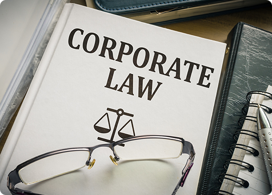 Corporate Lawyer