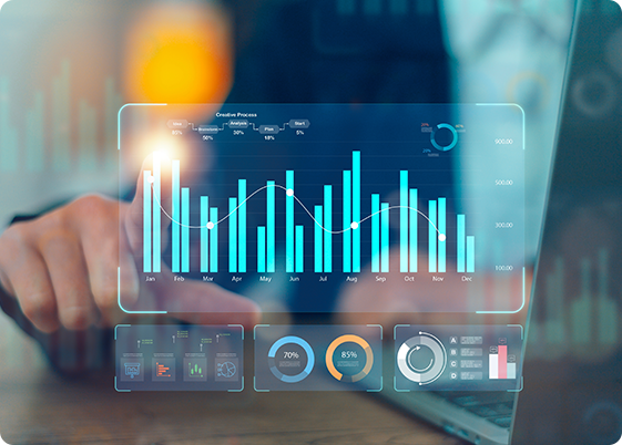 Customer Insights Analyst