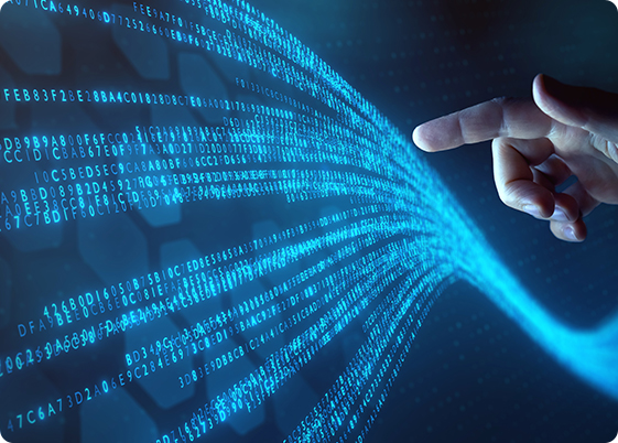 Data Scientist