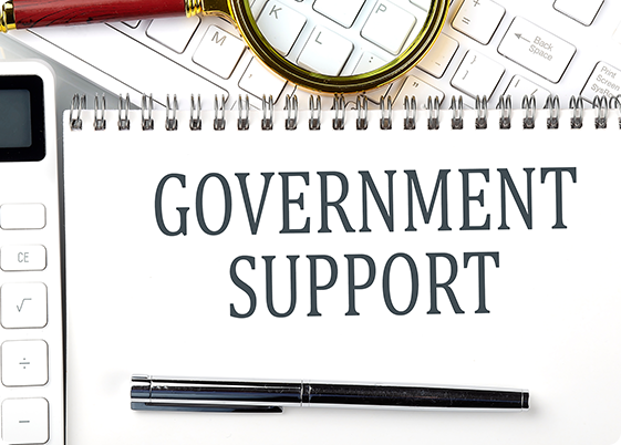 Goverment_support