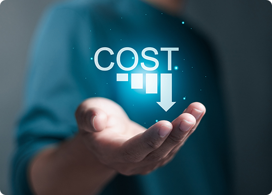 Reduced Costs