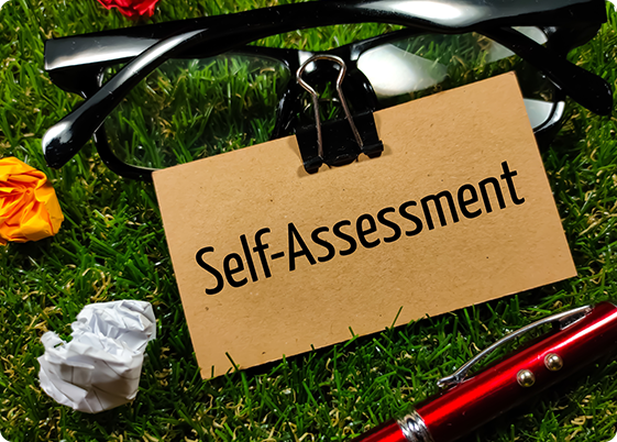 Self assiment