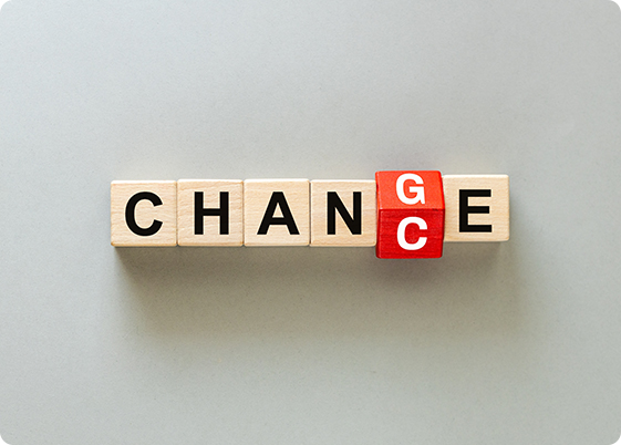 Steps to Finding Your Ideal Career in a Changing Job Market