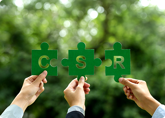 What is CSR