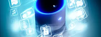 Interactive Voice Response (IVR)