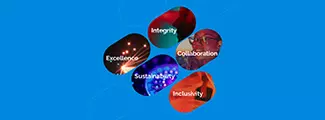The HGS 5 Values - Our Guiding Light